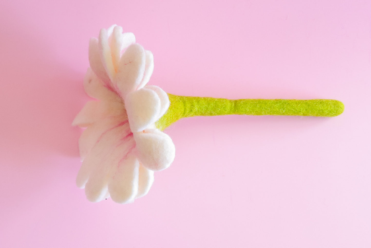 Forever Bloom Daisy Set (Set of 3)