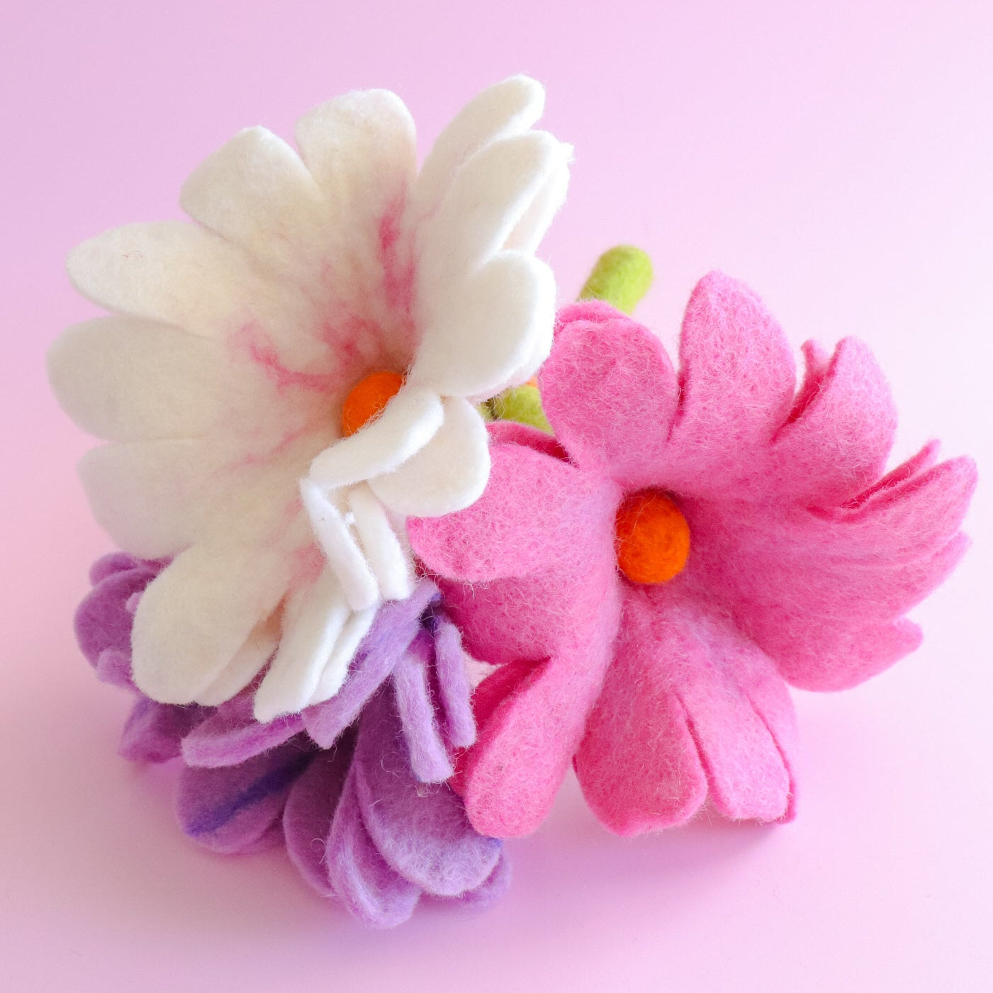 Forever Bloom Daisy Set (Set of 3)