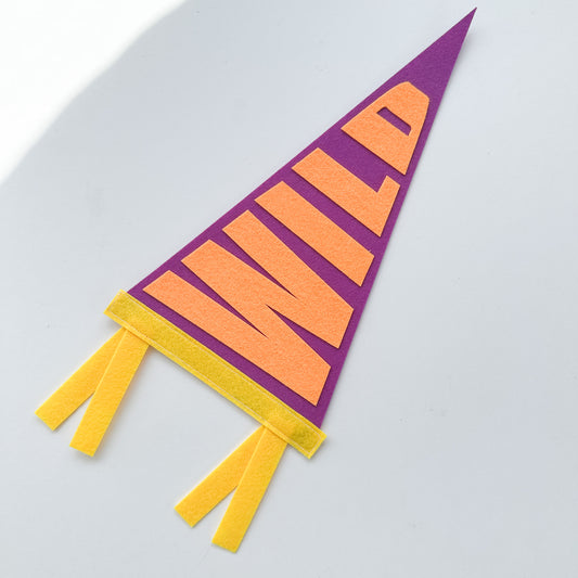 Pennant Felt Banner