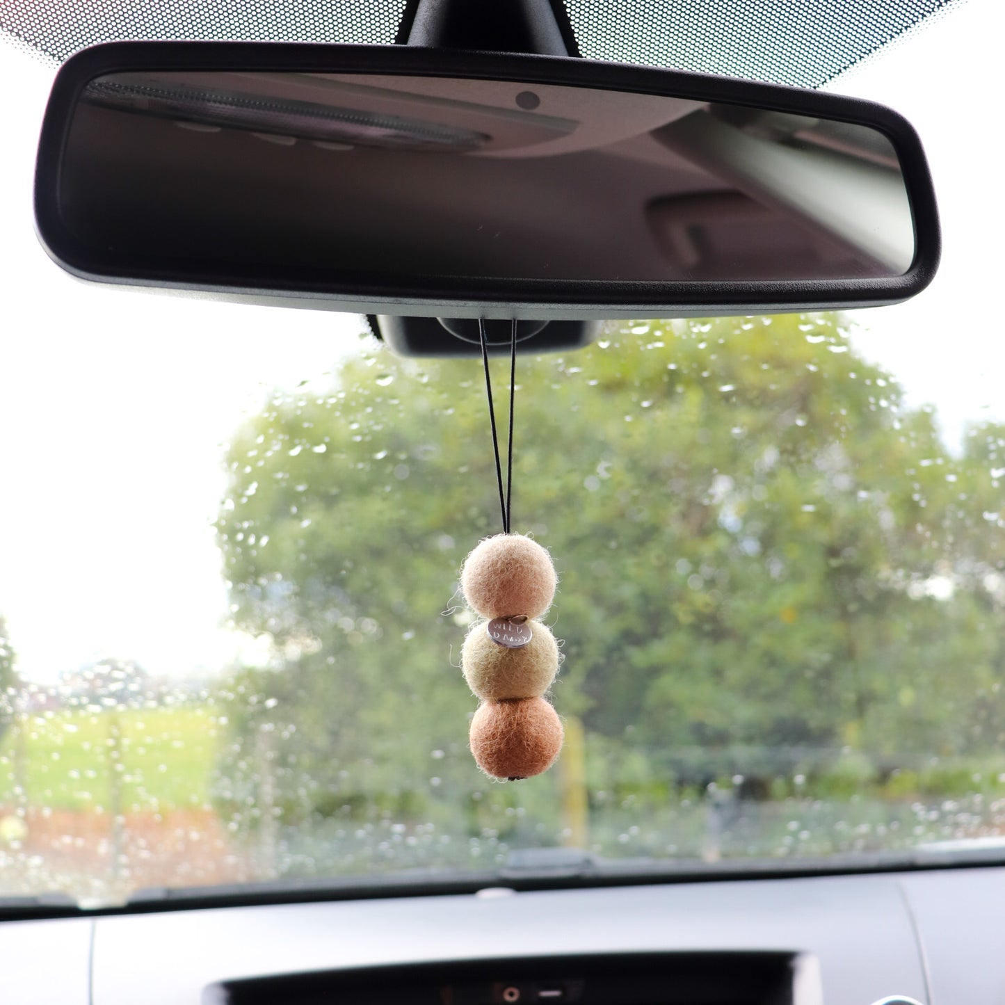 Lads Air Freshener