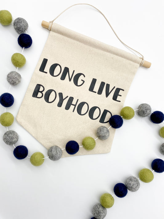 Boys will be boys Felt Ball Garland